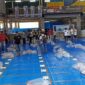 Suasana kontes ikan koi di G-Sport Center, Kota Padang pada 11-13 Agustus 2023. (Diskominfo Padang Panjang)