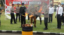 Pemusnahan barang bukti narkotika jenis ganja dan sabu di halaman Mapolresta Padang. (Prokopim Padang)