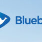 Rekrutmen PT Blue Bird Tbk, Untuk Staf Sumber Daya dan Bidang Umum, Penempatan Jabodetabek. (Net)