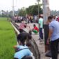 Gotong royong bersama membersihkan kembali hamparan Sawah Solok dari sampah yang ada.