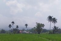 Kabup asap menyelimuti Kota Padang. (Diskominfo Padang)