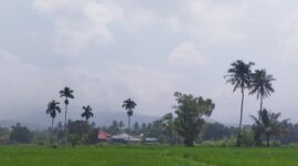 Kabup asap menyelimuti Kota Padang. (Diskominfo Padang)