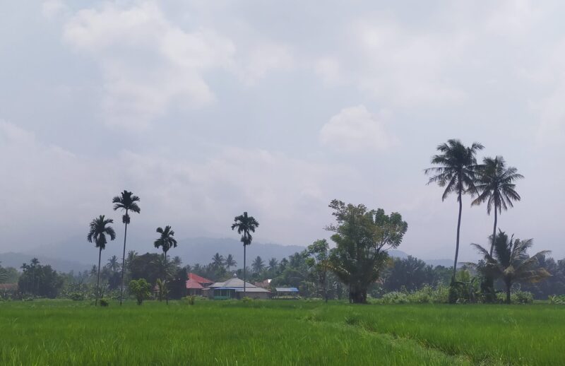 Kabup asap menyelimuti Kota Padang. (Diskominfo Padang)