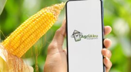 Lowongan Kerja PT Agriaku Digital (AgriAku). (agriaku.com)