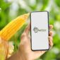 Lowongan Kerja PT Agriaku Digital (AgriAku). (agriaku.com)