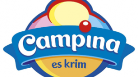 PT Campina Ice Cream Industry Tbk, Posisi Admin Freezer, Penempatan Bandung dan Cirebon. (campina.co.id)