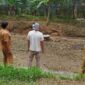 Lurah Palapa Nan XX Vebrinanda dan rombongan meninjau kolam budidaya ikan yang mengalami kekeringan, Selasa (31/10/2023). 