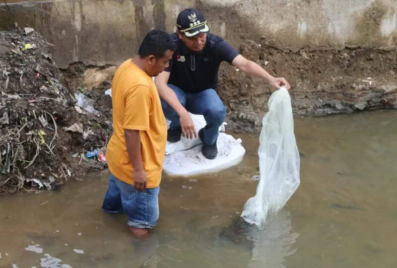 Wali Kota Pariaman Genius Umar menyebarkan bibit ikan mas di sungai. (Diskominfo Pariaman)