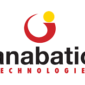 Rekrutmen PT Anabatic Technologies Tbk - Accounting and Tax Manager. (anabatic.com)