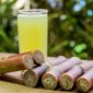 Wajib tau! ini 9 manfaat air tebu untuk kesehatan. (Pixabay/WebTechExperts)