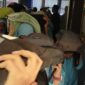 Siswa SMPN 25 Padang berlarian menyelamatkan diri keluar kelas saat mendengar sirine gempa dan tsunami, Jumat (26/4/2024). (Foto: Diskominfo Padang)
