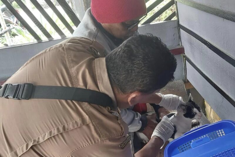 Petugas Dispangtan melakukan vaksinasi terhadap hewan peliharaan, Senin (6/5/2024). (Foto: Diskominfo Padang Panjang)