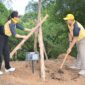 Pj Wali Kota Padang Andree Algamar menanam bibit pohon alpukat di Kebun APEKSI Balikpapan di areal Kawasan Olahraga Terpadu (KOT) Gedung Kesenian Balikpapan, Rabu (5/6/2024). (Foto: Prokopim Padang)