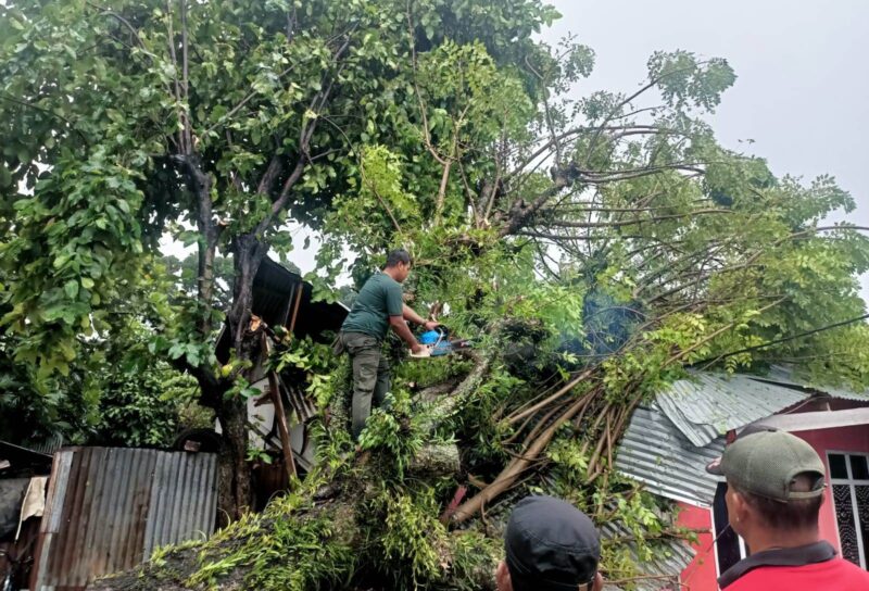 Anggota Rescue mengevakuasi pohon tumbang yang menimpa rumah warga di Kelurahan Mata Air, Kecamatan Padang Selatan. (Foto: Pusdalop BPBD Padang)