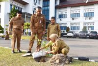 Penanaman pohon Jeruk Gunung Omeh di halaman Balai Kota Pariaman, Senin (29/7/2024). (Foto: Pemko Pariaman)
