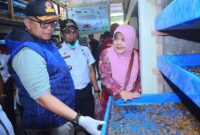 Pj Wali Kota Padang Andree Algamar meninjau Sentra Budidaya Maggot BSF di Kelurahan Rawang, Kecamatan Padang Selatan, Rabu (21/8/2024). (Foto: Prokopim Padang)