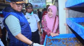 Pj Wali Kota Padang Andree Algamar meninjau Sentra Budidaya Maggot BSF di Kelurahan Rawang, Kecamatan Padang Selatan, Rabu (21/8/2024). (Foto: Prokopim Padang)