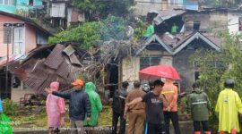 Tim BPBD Padang mengevakuasi pohon tumbang di Kelurahan Batang Arau. (Foto: BPBD Padang)