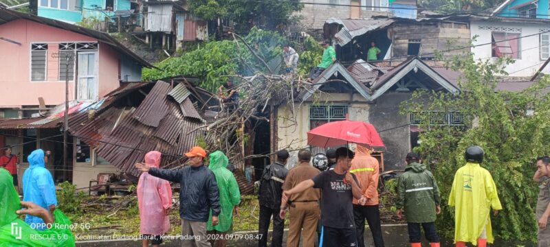 Tim BPBD Padang mengevakuasi pohon tumbang di Kelurahan Batang Arau. (Foto: BPBD Padang)