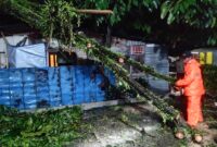 TRC BPBD Padang sedang mengevakuasi pohon tumbang. (Foto: BPBD Padang)