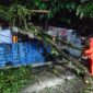 TRC BPBD Padang sedang mengevakuasi pohon tumbang. (Foto: BPBD Padang)