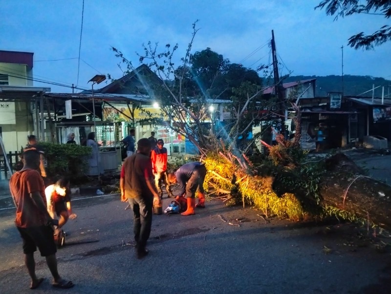 Tim TRC BPBD Padang mengevakuasi pohon tumbang di Kelurahan Kampung Pondok, Kecamatan Padang Barat. (Foto: BPBD Padang)