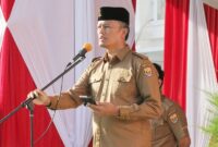 Pj Wali Kota Pariaman, Roberia ketika memimpin apel gabungan ASN Pemko Pariaman di Balaikota Pariaman beberapa waktu lalu. (Foto: Diskominfo Pariaman)