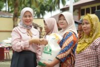 Penyerahan bantuan kepada Keluarga Penerima Manfaat (KPM) di Kecamatan Sungai Pagu. (Foto: Pemkab Solsel)