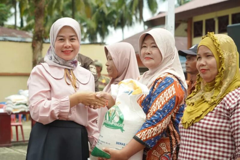 Penyerahan bantuan kepada Keluarga Penerima Manfaat (KPM) di Kecamatan Sungai Pagu. (Foto: Pemkab Solsel)