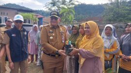 Pj Wali Kota Padang Andree Algamar menyerahkan bantuan bibit di KWT Anugrah, Jalan Pasar Lalang Kelurahan Kuranji, Senin (4/11/2024). (Foto: Prokopim Padang)