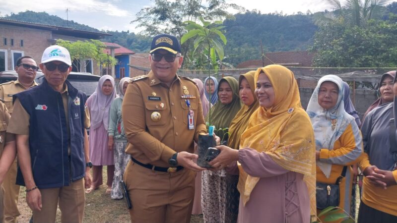 Pj Wali Kota Padang Andree Algamar menyerahkan bantuan bibit di KWT Anugrah, Jalan Pasar Lalang Kelurahan Kuranji, Senin (4/11/2024). (Foto: Prokopim Padang)