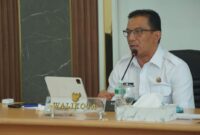 Penjabat (Pj) Padang Panjang Wali Kota, Sonny Budaya Putra. (Foto: Diskominfo Padang Panjang)