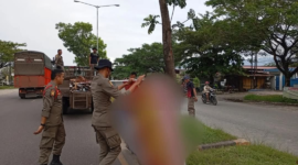 Satpol PP Padang bersama tim gabungan membersihkan Bahan Kampanye (BK) dan APK paslon, Minggu (24/11/2024). (Foto: Humas Satpol PP Padang)