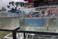 Kontes ikan hias ini ikut meramaikan pergelaran 