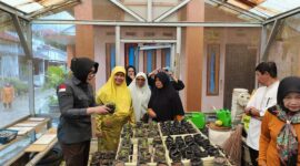 Kajari Jerniaty mengunjungi Kebun Adhyaksa KWT Bahagia, Jumat (20/12/2024). (Foto: Diskominfo Padang Panjang)