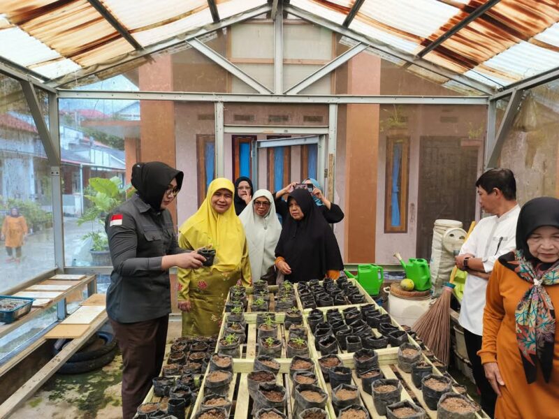 Kajari Jerniaty mengunjungi Kebun Adhyaksa KWT Bahagia, Jumat (20/12/2024). (Foto: Diskominfo Padang Panjang)