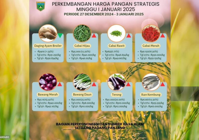 Perkembangan harga pangan di Kota Padang Panjang minggu I Januari 2025. (Foto: Diskominfo Padang Panjang)