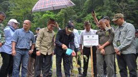 Pemprov Sumbar melaksanakan program penanaman pohon serentak di Kawasan Lembah Anai, Kabupaten Tanah Datar, Sabtu (25/1/2025). (Foto: ADPSB)