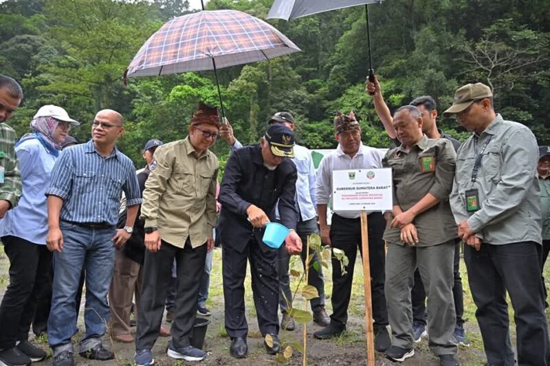 Pemprov Sumbar melaksanakan program penanaman pohon serentak di Kawasan Lembah Anai, Kabupaten Tanah Datar, Sabtu (25/1/2025). (Foto: ADPSB)