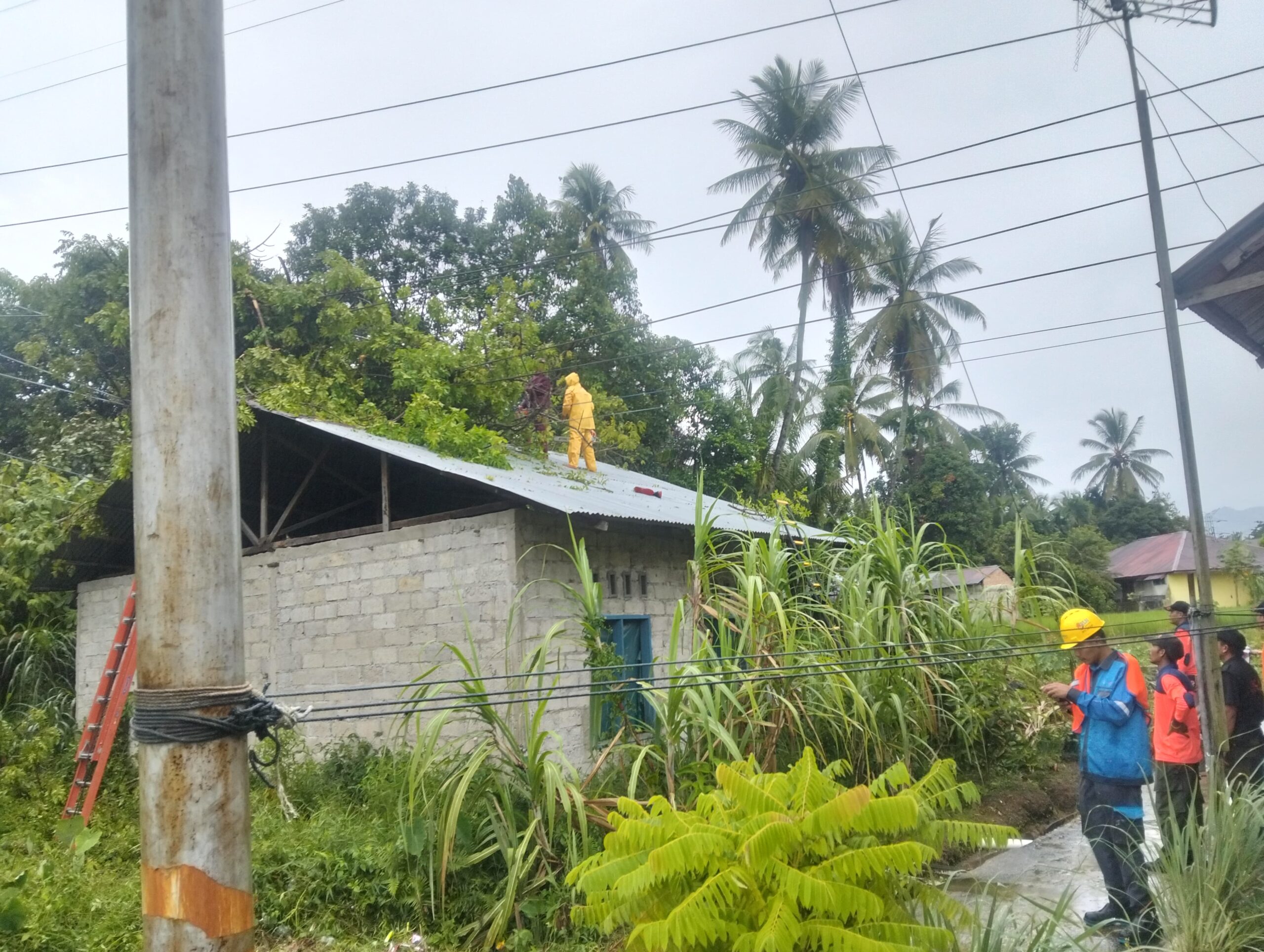 TRC BPBD Padang mengevakuasi pohon tumbang di RT 02 RW 03, Kelurahan Cupak Tangah, Kecamatan Pauh. (Foto: BPBD Padang)