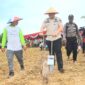 Pj Wali Kota Padang Andree Algamar mengikuti aksi penanaman bibit jagung di lahan perkebunan Kelompok Tani Jambu Aie, Kelurahan Padang Sarai, Kecamatan Koto Tangah, Selasa (21/1/2024). (Foto: Prokopim Padang)