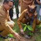 Wawako Padang Maigus Nasir melakukan penanaman pohon di sela-sela pelaksanaan Musrenbang Kecamatan Padang Timur, Senin (24/2/2025). (Foto: Diskominfo Padang)