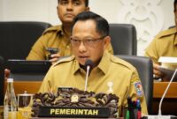 Menteri Dalam Negeri (Mendagri) Tito Karnavian. (Foto: IG titokarnavian)