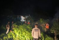 TRC PB BPBD Kota Padang mengevakuasi pohon tumbang di Kelurahan Teluk Kabung Tengah, Kecamatan Bungus. (Foto: BPBD Padang)