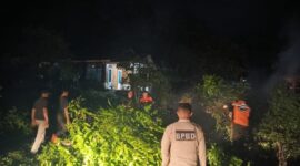 TRC PB BPBD Kota Padang mengevakuasi pohon tumbang di Kelurahan Teluk Kabung Tengah, Kecamatan Bungus. (Foto: BPBD Padang)