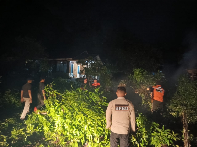TRC PB BPBD Kota Padang mengevakuasi pohon tumbang di Kelurahan Teluk Kabung Tengah, Kecamatan Bungus. (Foto: BPBD Padang)