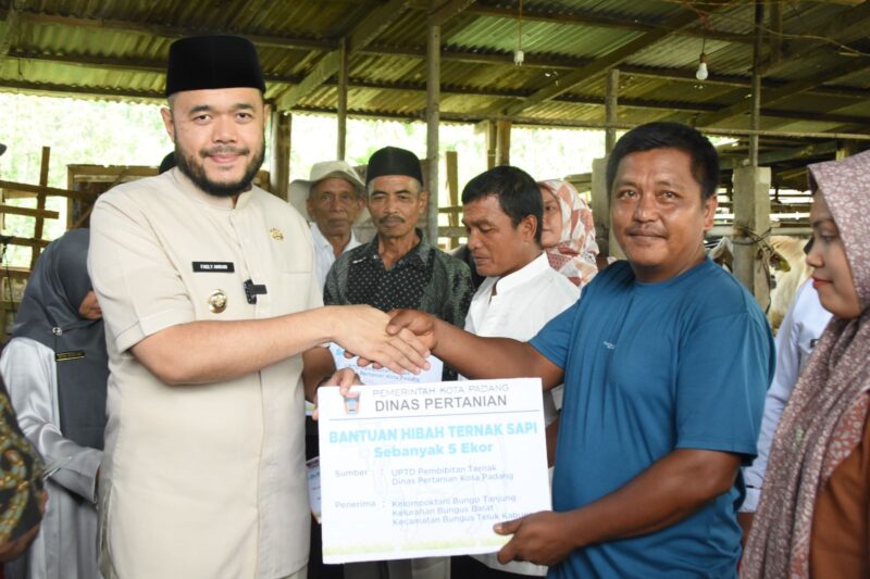 Wali Kota Fadly Amran menyerahkan bantuan hibah ternak berupa 22 ekor sapi jenis Brahman Cross kepada lima kelompok tani ternak di Kota Padang. (Foto: Prokopim Padang)