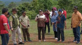Wakil Wali Kota Padang Maigus Nasir meninjau Bumi Perkemahan Pramuka Batu Gadang di Kecamatan Koto Tangah, Sabtu (15/3/2025). (Foto: Prokopim Padang)