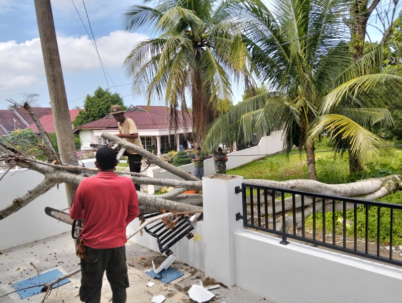 BPBD Padang mengevakuai pohon tumbang yang mengganggu akses jalan dan merusak fasum pada hari pertama bulan Ramadan, Sabtu (1/3/2025). (Foto: BPBD Padang)