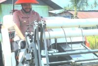 Wali Kota Padang, Fadly Amran saat kegiatan panen padi di areal pertanian Kelompok Tani Harapan Baru, di Jalan Belimbing, Kelurahan Kuranji, Kecamatan Kuranji, Jumat (25/4/2025). (Foto: Prokopim Padang)